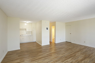 Imperial Palms Apartments in Imperial Beach, CA - Building Photo - Interior Photo