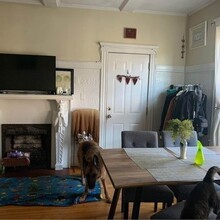 5 Bellvista Rd, Unit 2 in Boston, MA - Building Photo - Building Photo