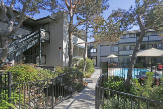 Koi Creek in San Jose, CA - Foto de edificio - Building Photo