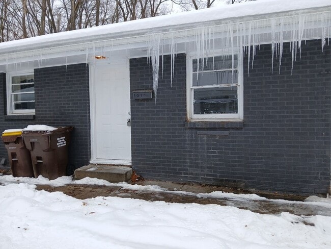 property at 1017 Irving Ave