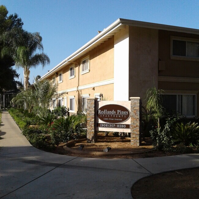 1001 Pine Ave Rentals in Redlands, CA