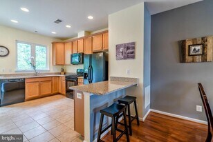 22464 Snow Powder Terrace in Ashburn, VA - Building Photo