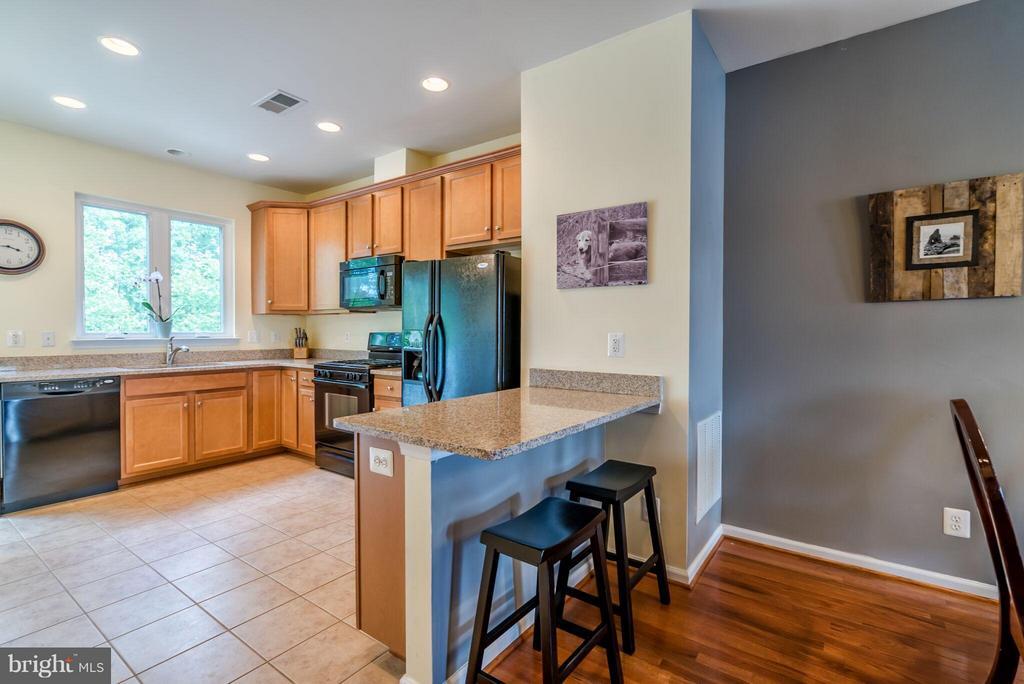 22464 Snow Powder Terrace in Ashburn, VA - Building Photo