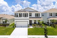 359 Mangrove Manor Dr in Apollo Beach, FL - Building Photo - Building Photo