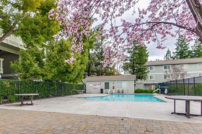 854 Apricot Ave in Campbell, CA - Building Photo - Building Photo