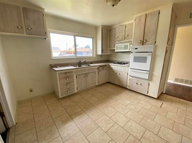 1741 Lahoud Dr in Encinitas, CA - Building Photo - Building Photo