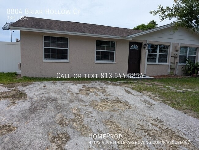 8804 Briar Hollow Ct in Tampa, FL - Building Photo - Building Photo