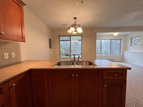 13863 Docksteader Loop in Maple Ridge, BC - Building Photo - Building Photo