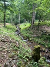 466 Old Camptown Dr in Hayesville, NC - Building Photo - Building Photo