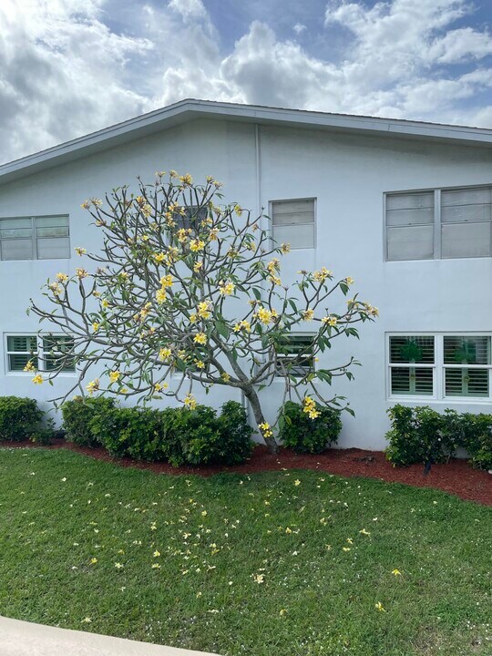 352 Markham P in Deerfield Beach, FL - Building Photo