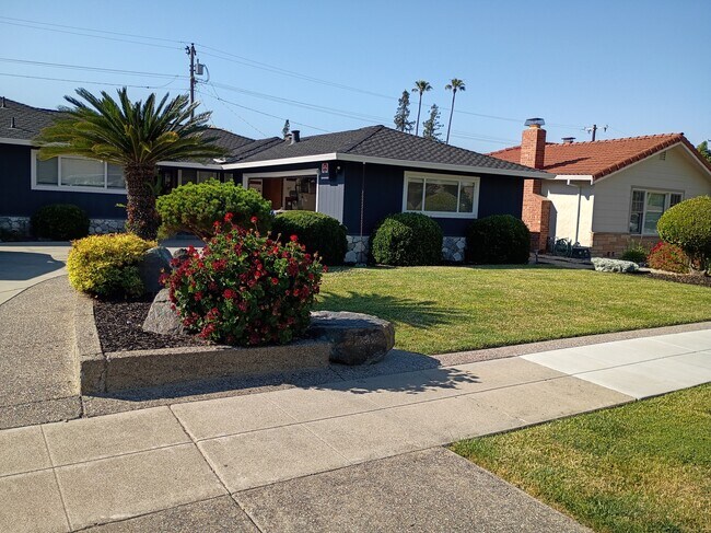 1519 Altamont Ave in San Jose, CA - Foto de edificio - Building Photo