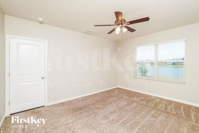 31012 Summer Sun Lp in Wesley Chapel, FL - Building Photo - Building Photo