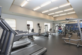 Cortland Alexandria in Alexandria, VA - Foto de edificio - Interior Photo