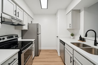 The Brady at Tampa Palms in Tampa, FL - Building Photo - Building Photo
