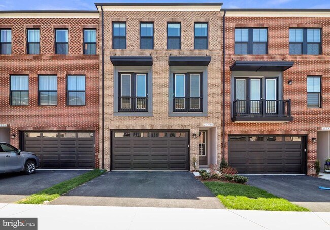 21740 Charing Cross Ter in Ashburn, VA - Building Photo - Building Photo