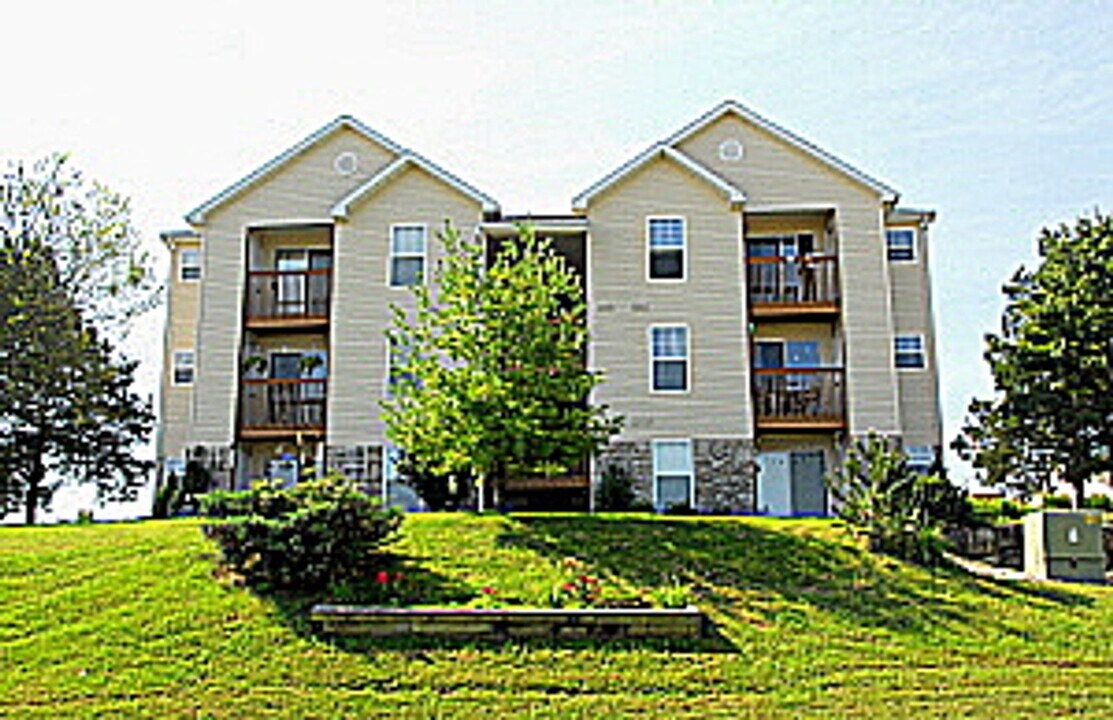 119 Vixen in Branson, MO - Building Photo