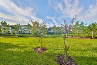 4925 San Martino Dr in Wesley Chapel, FL - Foto de edificio - Building Photo