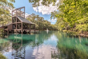 246 Litchfield Ln in Houston, TX - Building Photo