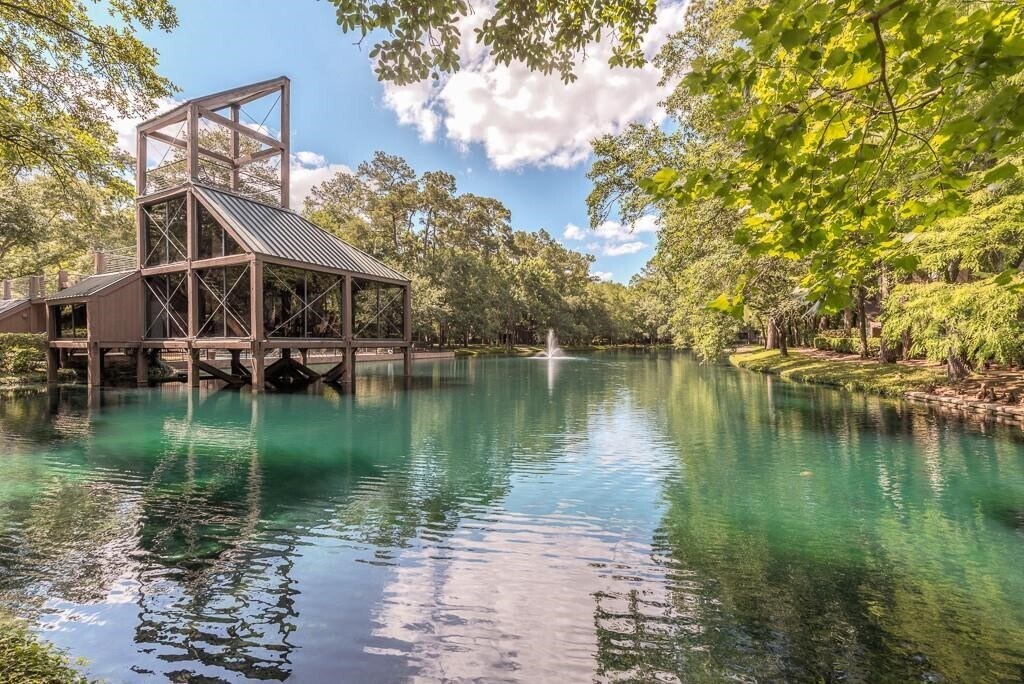 246 Litchfield Ln in Houston, TX - Building Photo