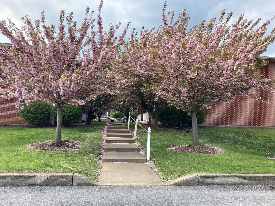 The Nestings on Ridge in Emmaus, PA - Building Photo