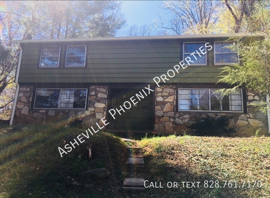 19 Dortch Ave in Asheville, NC - Building Photo