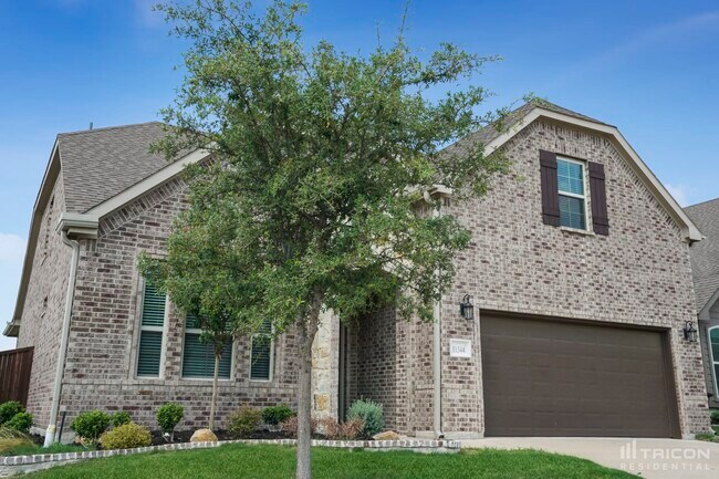 property at 11344 Live Oak Creek Dr