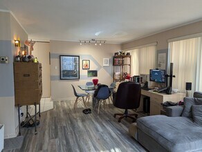 247 E Chestnut St in Chicago, IL - Building Photo - Building Photo