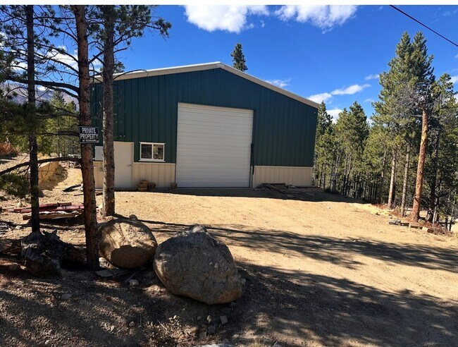 455 Quartz Dr in Leadville, CO - Building Photo - Building Photo