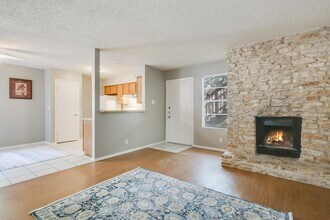 4303 Acropolis Ct in Austin, TX - Building Photo - Building Photo