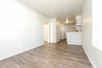 3606 Live Oak St in Houston, TX - Foto de edificio - Building Photo