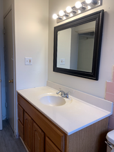 100 Vana Dr in Willow Springs, IL - Building Photo - Building Photo