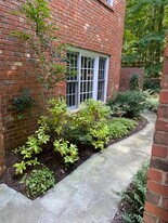 125 Wild Iris Ln, Unit A in Chapel Hill, NC - Building Photo