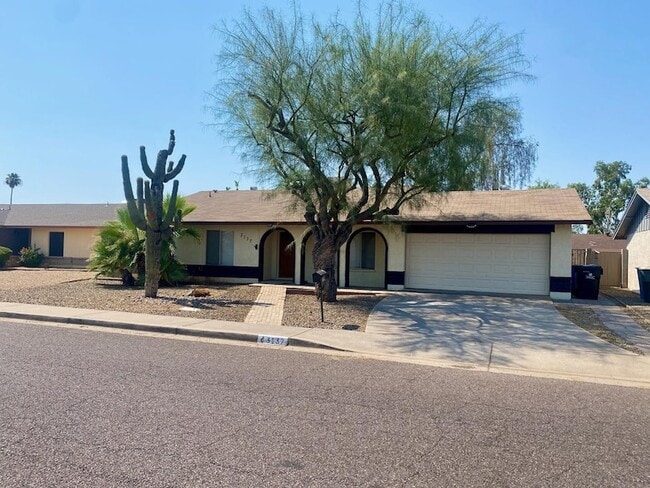 3137 W Campo Bello Dr in Phoenix, AZ - Building Photo - Building Photo