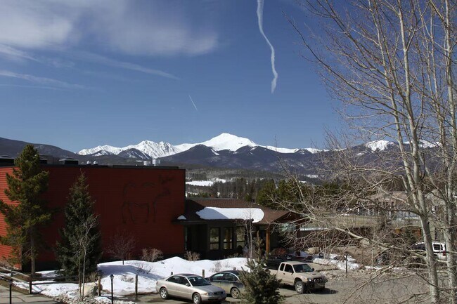 203 E Meadow Mile in Fraser, CO - Building Photo - Building Photo