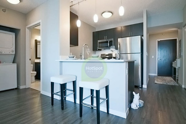 363 E Ohio St in Chicago, IL - Building Photo - Building Photo
