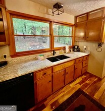 226 Mountain View Ct in Ellijay, GA - Building Photo - Building Photo
