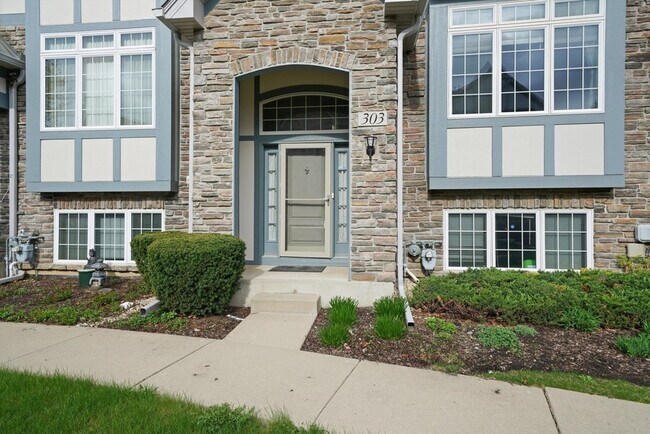 303 Sype Dr in Carol Stream, IL - Building Photo - Building Photo