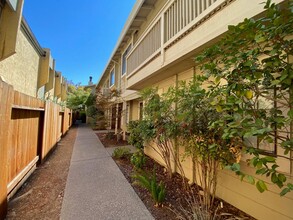 2418 P St in Sacramento, CA - Building Photo - Building Photo