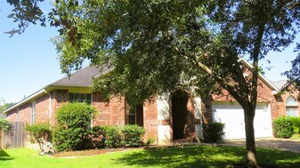 307 Autumn Creek Ln in Richmond, TX - Building Photo