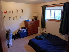 213 NW Timothy St, Unit #4 in Pullman, WA - Building Photo - Building Photo