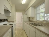 Lucerne Apartments in Tampa, FL - Building Photo - Building Photo