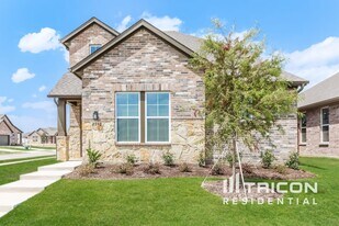 2552 Finch Holw Dr in McKinney, TX - Building Photo