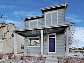 4405 Crestone Peak St in Brighton, CO - Building Photo