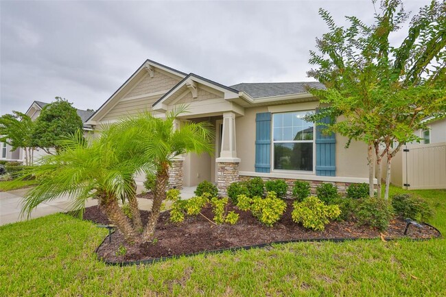 11412 Blue Woods Dr in Riverview, FL - Building Photo - Building Photo