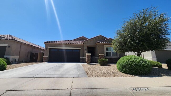 42037 W Quinto Dr in Maricopa, AZ - Building Photo - Building Photo