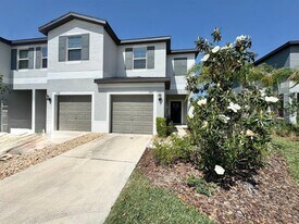 3587 Bellmeade Ct in Wesley Chapel, FL - Building Photo