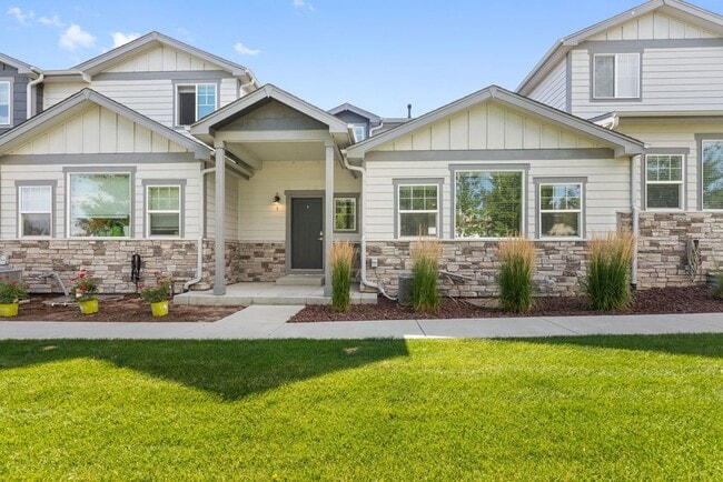 290 E Chestnut in Windsor, CO - Building Photo - Building Photo