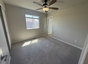 11848 Olive St in Thornton, CO - Building Photo - Building Photo