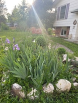 2524 W Plum St in Fort Collins, CO - Building Photo