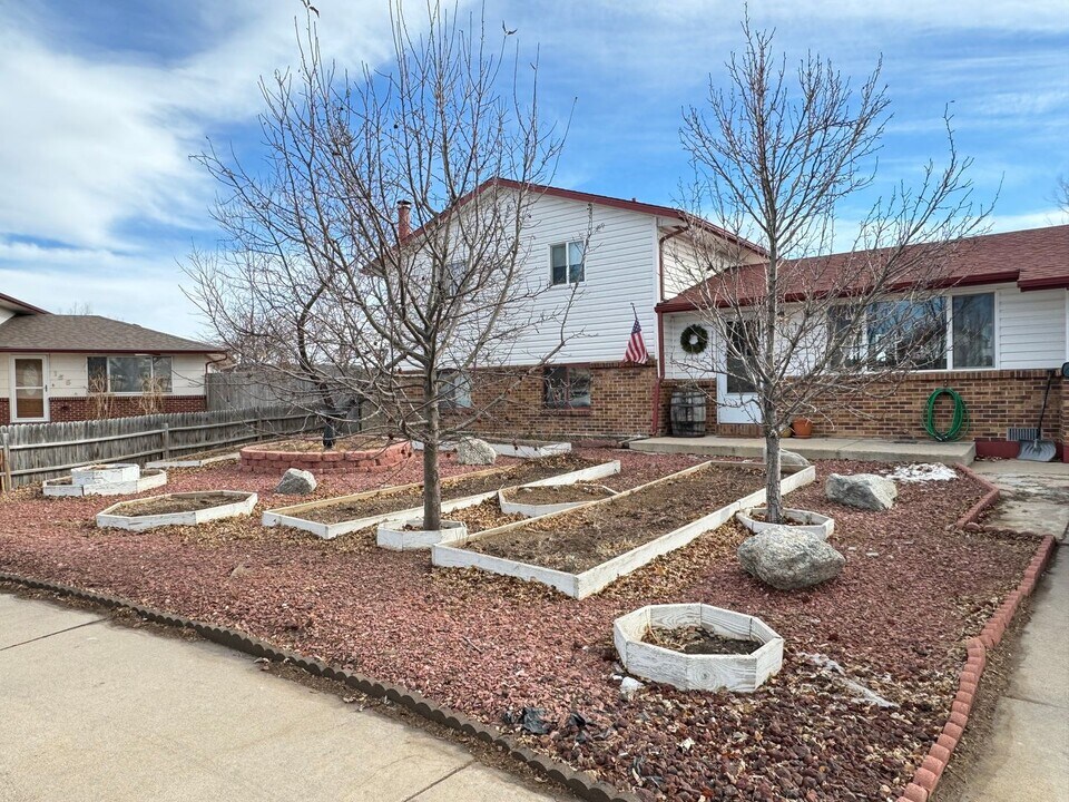 145 Ivy Ct in Windsor, CO - Building Photo